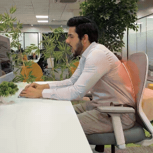 Adjustable Back Posture Corrector